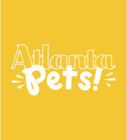 Atlanta Magazine Pet Issue | Cord Shoes and Boots